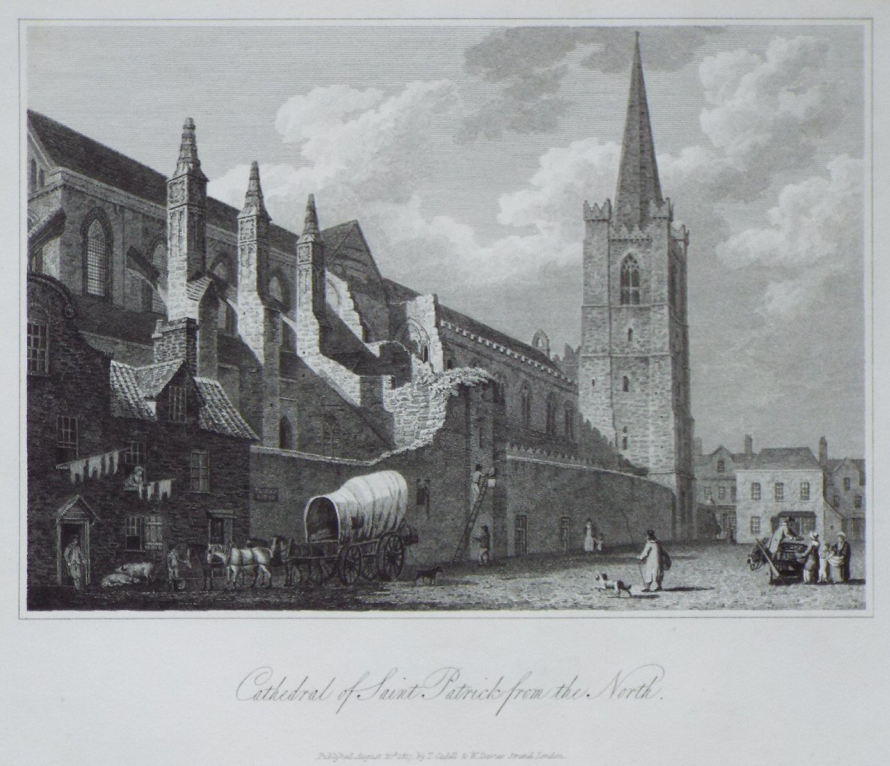 Print - Cathedral of Saint Patrick from the North.